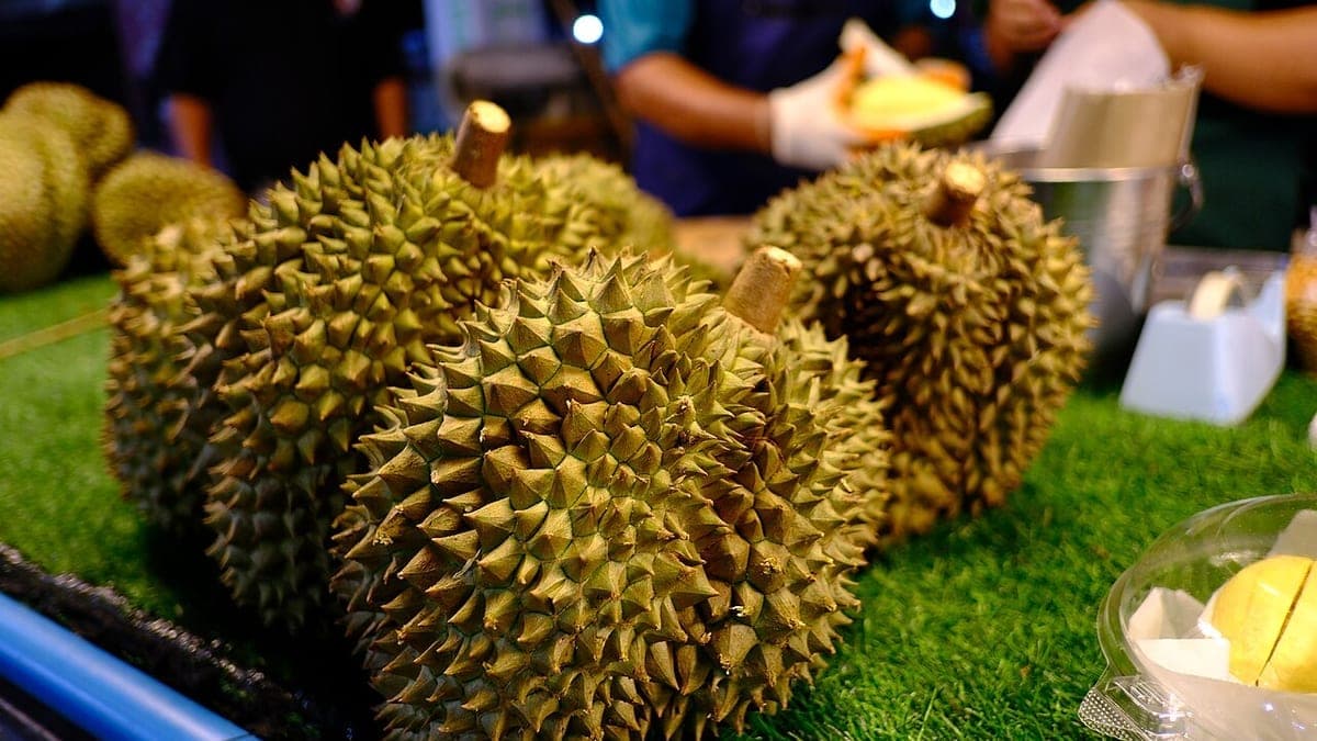 Ilustrasi artikel Apakah Ibu Hamil Boleh Makan Durian? Fakta dan Batasnya